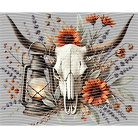 Country music-CM-620